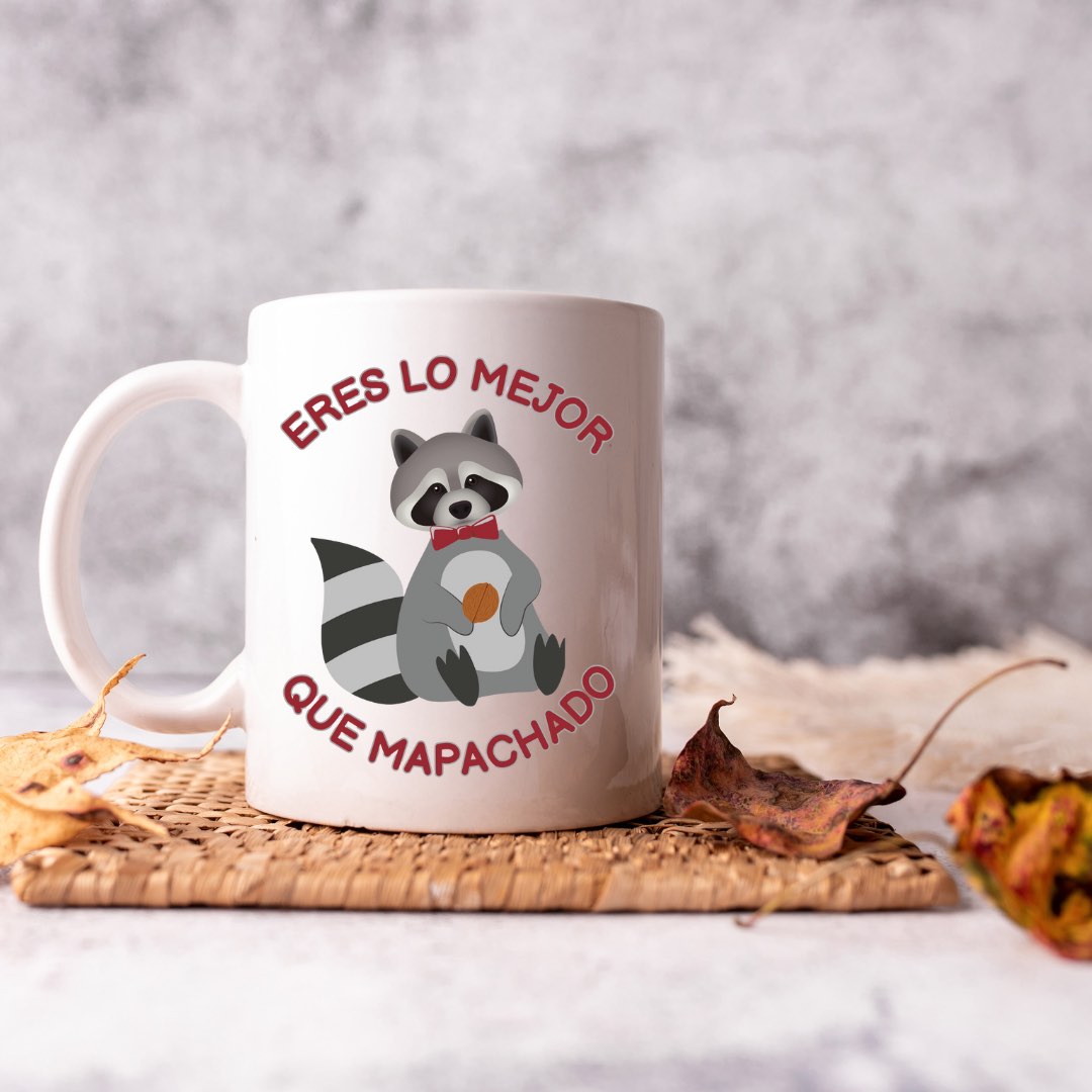 SET TAZA CALCETINES MAPACHES