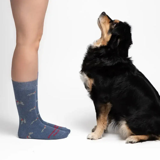 calcetines divertidos perros